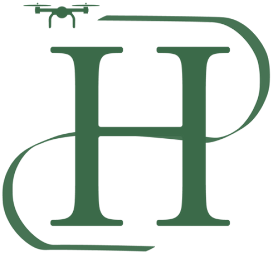 Logo HDP-SF